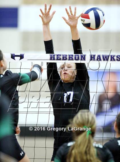 Thumbnail 3 in Carroll @ Hebron photogallery.