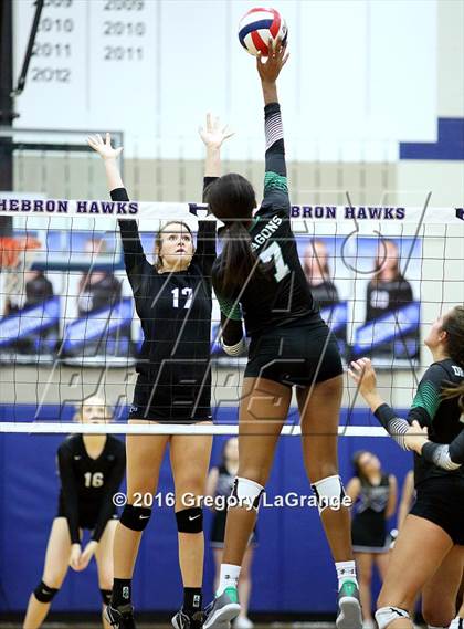 Thumbnail 3 in Carroll @ Hebron photogallery.
