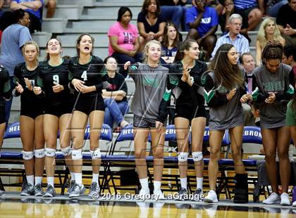Thumbnail 1 in Carroll @ Hebron photogallery.