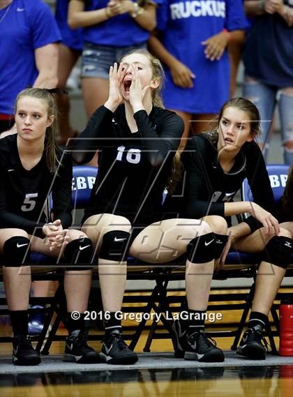 Thumbnail 1 in Carroll @ Hebron photogallery.