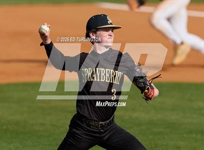 Thumbnail 1 in Sprayberry @ Lassiter photogallery.