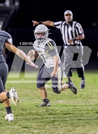 Thumbnail 1 in FR: Milton @ Navarre photogallery.