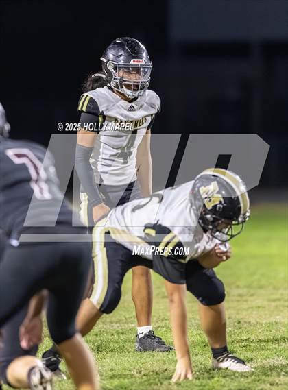 Thumbnail 2 in FR: Milton @ Navarre photogallery.