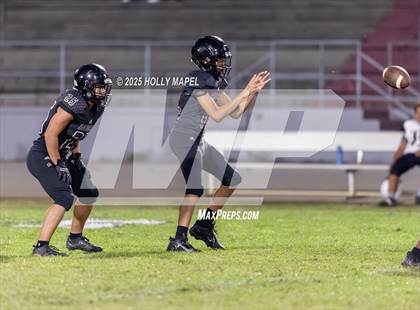 Thumbnail 1 in FR: Milton @ Navarre photogallery.