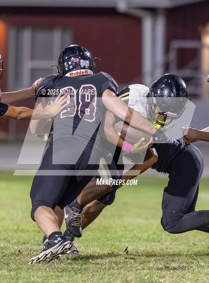 Thumbnail 1 in FR: Milton @ Navarre photogallery.