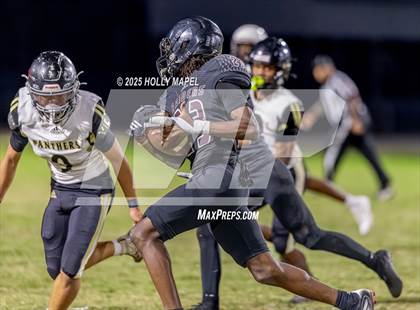 Thumbnail 2 in FR: Milton @ Navarre photogallery.