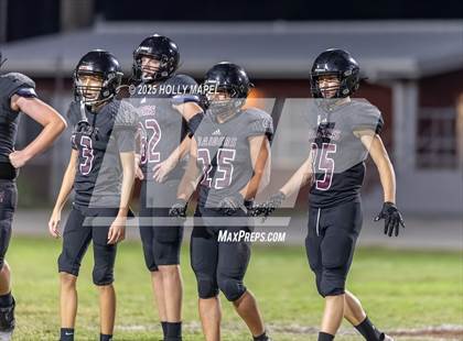 Thumbnail 3 in FR: Milton @ Navarre photogallery.