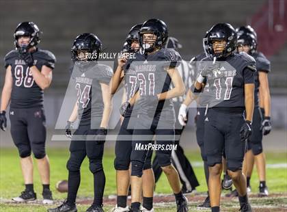 Thumbnail 1 in FR: Milton @ Navarre photogallery.