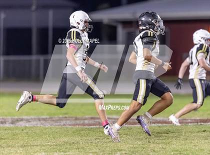 Thumbnail 1 in FR: Milton @ Navarre photogallery.