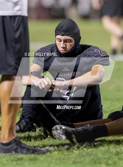 Thumbnail 1 in FR: Milton @ Navarre photogallery.