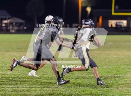 Thumbnail 2 in FR: Milton @ Navarre photogallery.