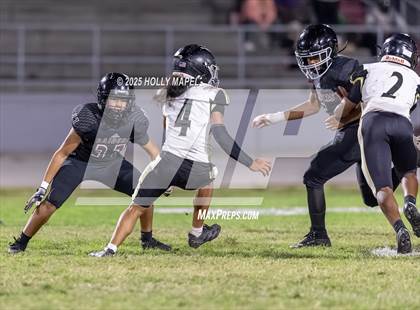 Thumbnail 2 in FR: Milton @ Navarre photogallery.