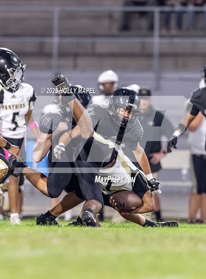 Thumbnail 2 in FR: Milton @ Navarre photogallery.