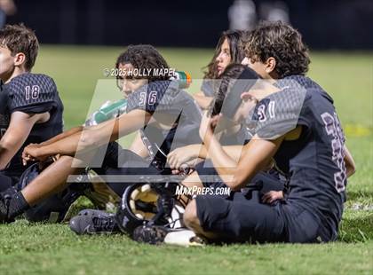 Thumbnail 3 in FR: Milton @ Navarre photogallery.