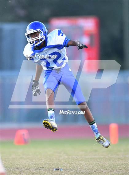 Thumbnail 3 in FR: Cypress Creek (B-team) @ Cypress Woods (B-team) photogallery.