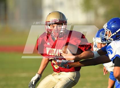 Thumbnail 2 in FR: Cypress Creek (B-team) @ Cypress Woods (B-team) photogallery.