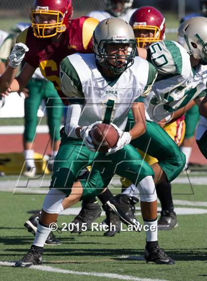Thumbnail 3 in Brea Olinda @ Esperanza photogallery.