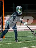 Photo from the gallery "Granite Bay @ Whitney"