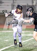 Photo from the gallery "Granite Bay @ Whitney"