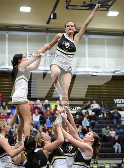 Thumbnail 2 in Roy Cheer photogallery.