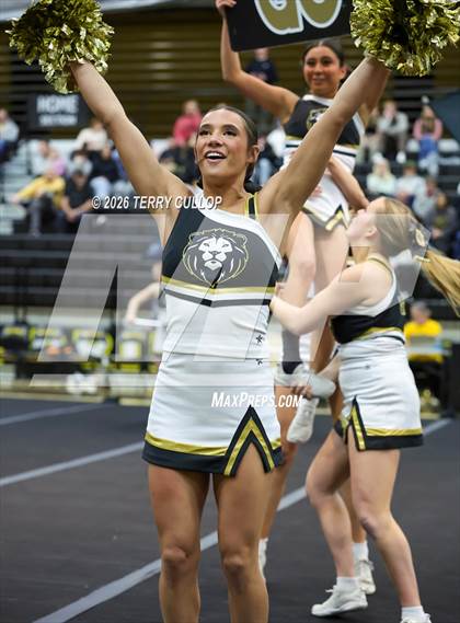 Thumbnail 1 in Roy Cheer photogallery.