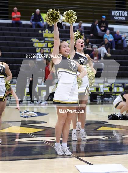 Thumbnail 2 in Roy Cheer photogallery.