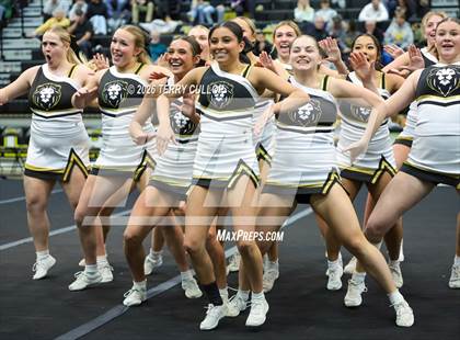 Thumbnail 3 in Roy Cheer photogallery.
