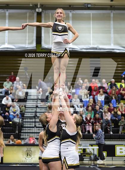 Thumbnail 2 in Roy Cheer photogallery.