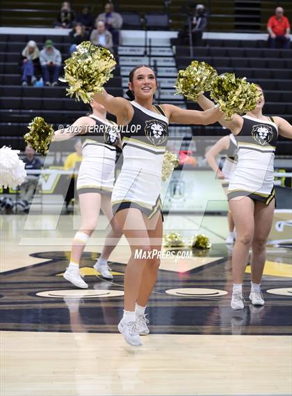 Thumbnail 3 in Roy Cheer photogallery.