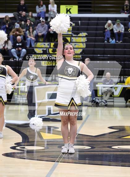 Thumbnail 2 in Roy Cheer photogallery.