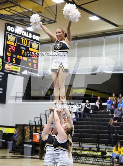 Thumbnail 2 in Roy Cheer photogallery.