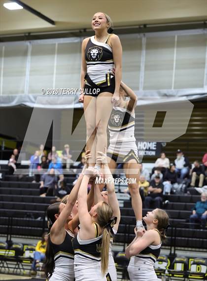 Thumbnail 1 in Roy Cheer photogallery.