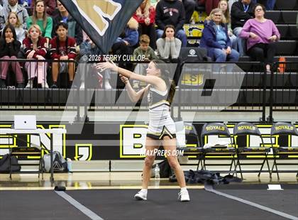 Thumbnail 3 in Roy Cheer photogallery.