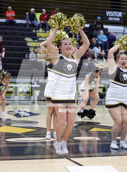 Thumbnail 3 in Roy Cheer photogallery.