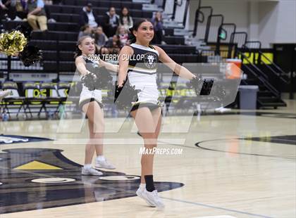 Thumbnail 1 in Roy Cheer photogallery.