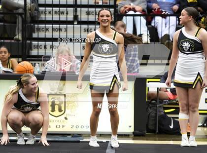 Thumbnail 2 in Roy Cheer photogallery.