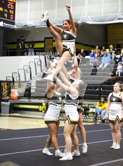 Thumbnail 2 in Roy Cheer photogallery.