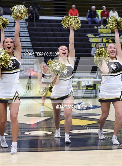 Thumbnail 2 in Roy Cheer photogallery.