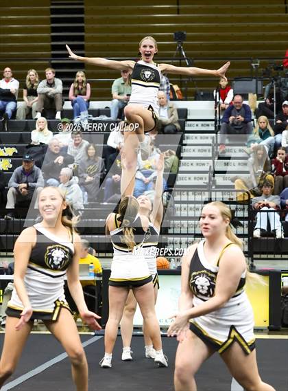 Thumbnail 3 in Roy Cheer photogallery.