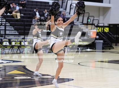 Thumbnail 3 in Roy Cheer photogallery.