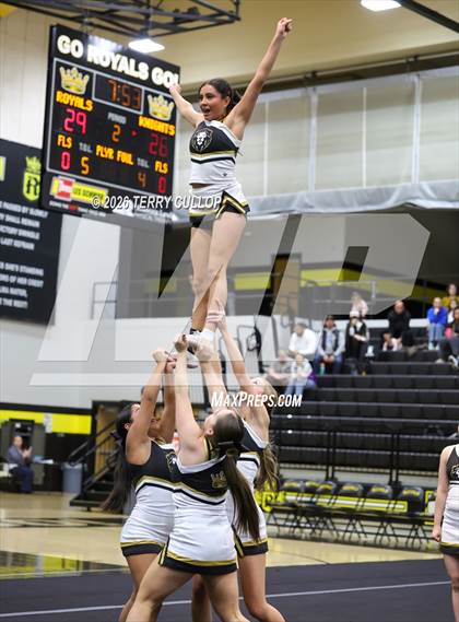 Thumbnail 1 in Roy Cheer photogallery.