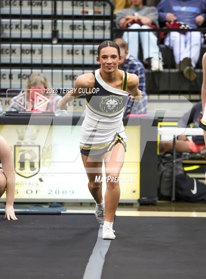 Thumbnail 3 in Roy Cheer photogallery.