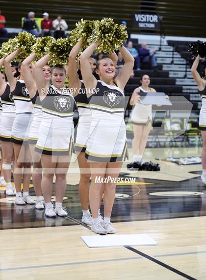 Thumbnail 2 in Roy Cheer photogallery.