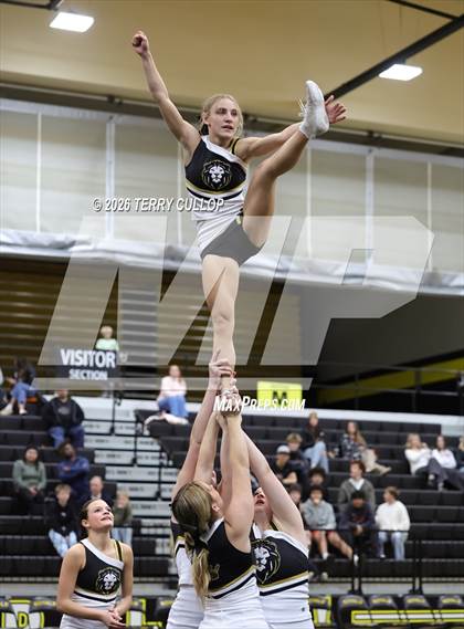 Thumbnail 1 in Roy Cheer photogallery.