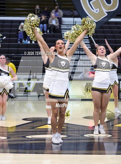 Thumbnail 3 in Roy Cheer photogallery.