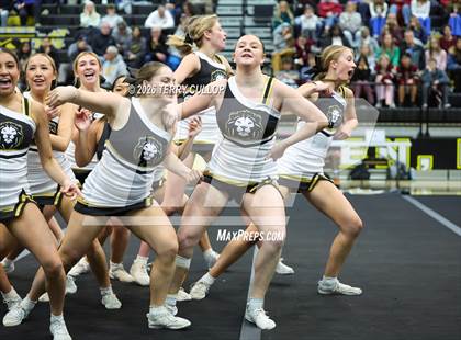 Thumbnail 2 in Roy Cheer photogallery.