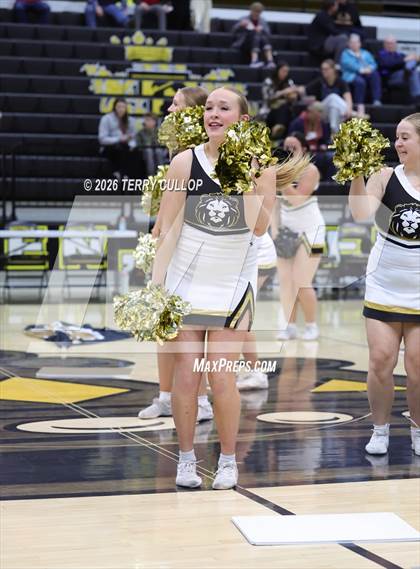 Thumbnail 2 in Roy Cheer photogallery.