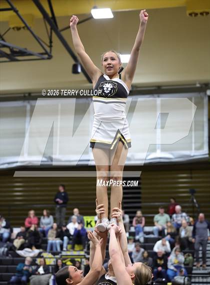 Thumbnail 3 in Roy Cheer photogallery.