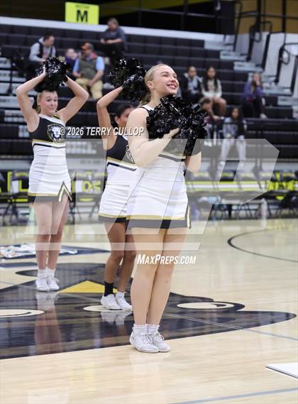 Thumbnail 1 in Roy Cheer photogallery.