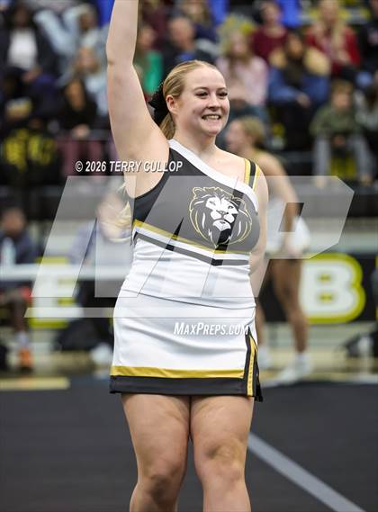 Thumbnail 2 in Roy Cheer photogallery.